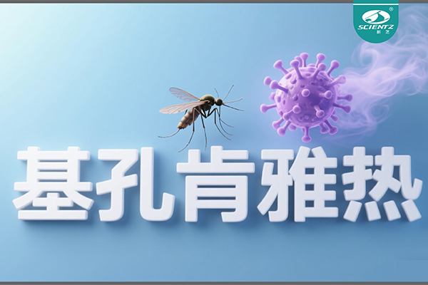 基孔肯雅熱疫情升級！新芝生物硬核技術(shù)助力病毒精準診斷